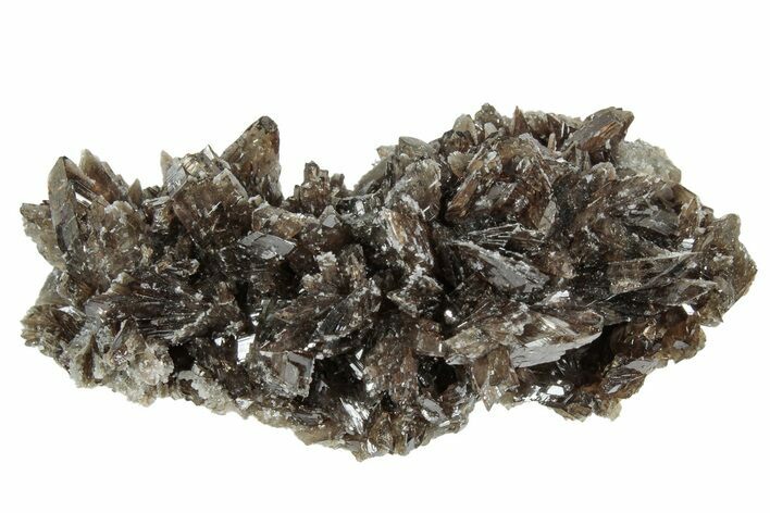 Lustrous Axinite Crystal Cluster - Dalnegorsk, Russia #239590